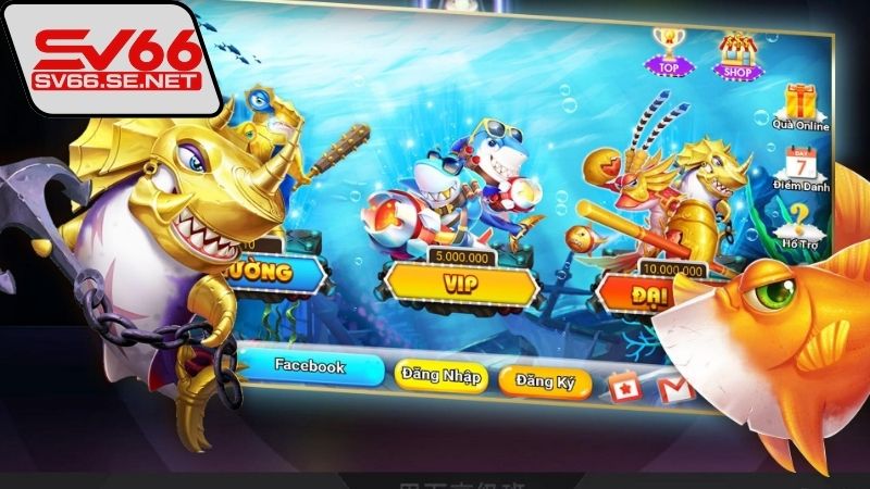 cach-ban-ca-an-nhieu-thuong